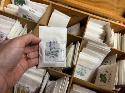 Vrtlarski dan u Brezovici