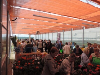 Mnogi su kući otišli s presadnicama cvijeća i povrća