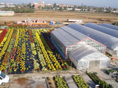 Vrtni Centar Jug Vrtni Centar Jug