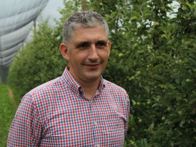 Vrtovi voća iz Velike Ludine