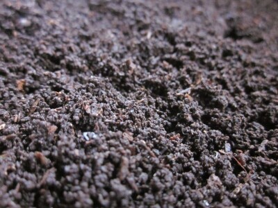 Vrućim kompostiranjem brzo do kvalitetnog supstrata i zimi Vrućim kompostiranjem brzo do kvalitetnog supstrata i zimi