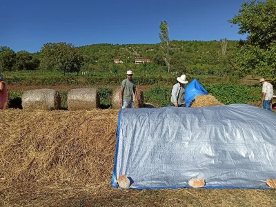 Vrućim kompostiranjem brzo do kvalitetnog supstrata i zimi