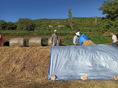 Vrućim kompostiranjem brzo do kvalitetnog supstrata i zimi Vrućim kompostiranjem brzo do kvalitetnog supstrata i zimi