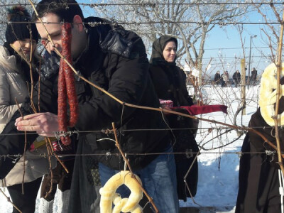 Vinkovo na Goldschmidtu Vinkovo na Goldschmidtu