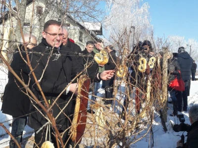 Vinkovo na Goldschmidtu