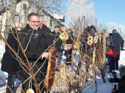 Vinkovo na Goldschmidtu Vinkovo na Goldschmidtu