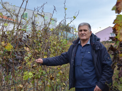 Stjepan Vučemilović