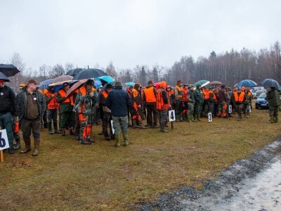 "Vučji dani na Ozrenu"