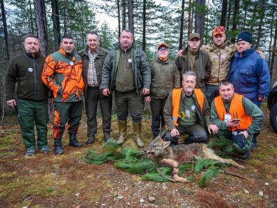 "Vučji dani na Ozrenu"