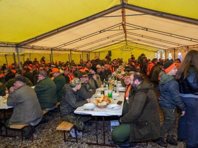 "Vučji dani na Ozrenu"