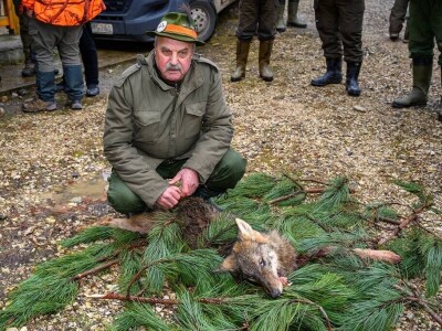 "Vučji dani na Ozrenu"