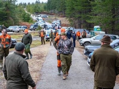 "Vučji dani na Ozrenu"