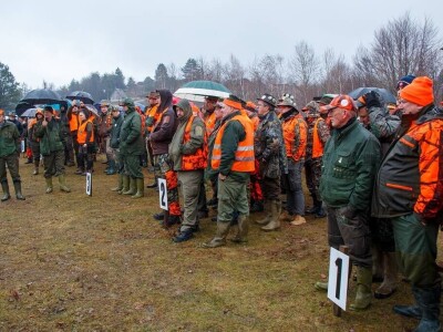 "Vučji dani na Ozrenu"
