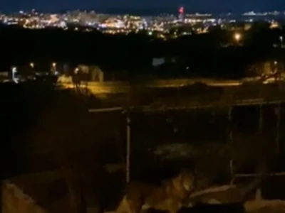 Vuk u Kučinama kraj Solina