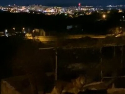 Vuk u Kučinama kraj Solina