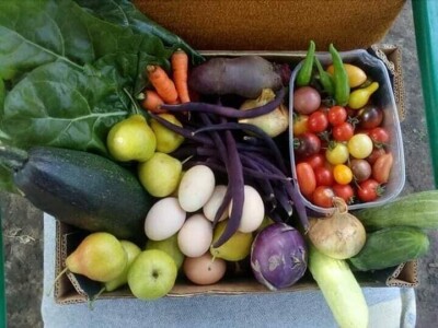 Vukicin azil za biljke