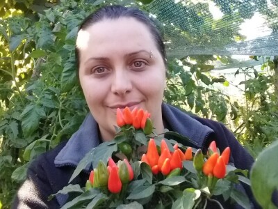 Vukicin azil za biljke