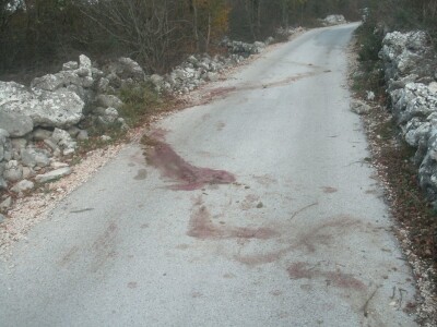 Vukopsi u Zabiokovlju Vukopsi u Zabiokovlju