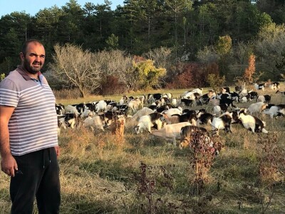 Vukovi i migranti haraju Imotskom krajinom