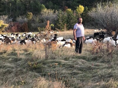 Vukovi i migranti haraju Imotskom krajinom