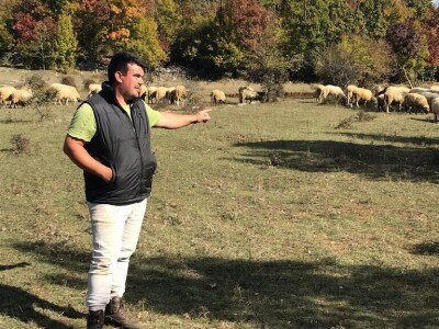 Vukovi i migranti haraju Imotskom krajinom