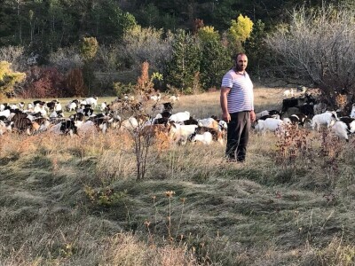 Vukovi i migranti haraju Imotskom krajinom