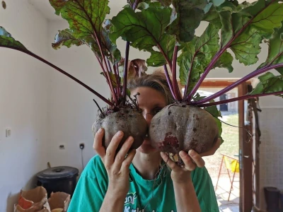 Vuna kao malč