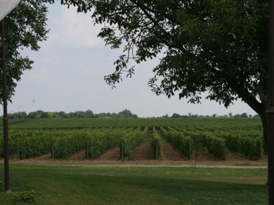 Vupik i Poljoprivredni fakultet