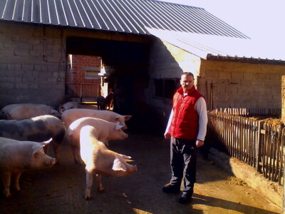 Potres  i na farmama Potres  i na farmama