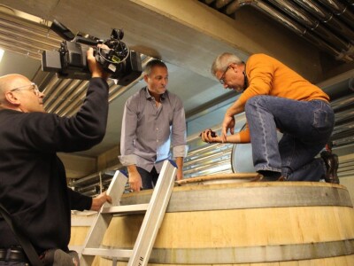 Weingut Heinrich - Biodinamička vina iz Gradišća