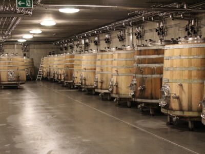 Weingut Heinrich - Biodinamička vina iz Gradišća