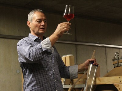 Weingut Heinrich - Biodinamička vina iz Gradišća