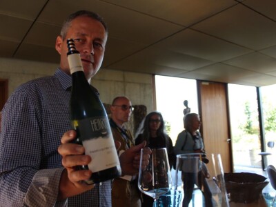 Weingut Heinrich - Biodinamička vina iz Gradišća