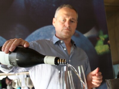 Weingut Heinrich - Biodinamička vina iz Gradišća