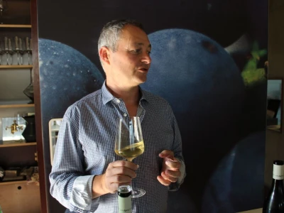 Weingut Heinrich - Biodinamička vina iz Gradišća