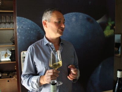 Weingut Heinrich - Biodinamička vina iz Gradišća