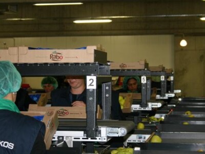 Baranjski voćnjaci d.o.o