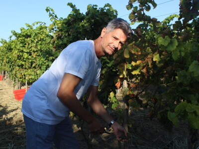 Wine & Bike Tour Erdut