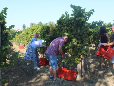 Wine & Bike Tour Erdut
