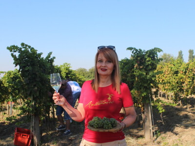 Wine & Bike Tour Erdut