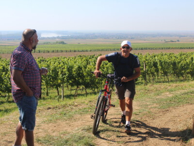 Wine & Bike Tour Erdut