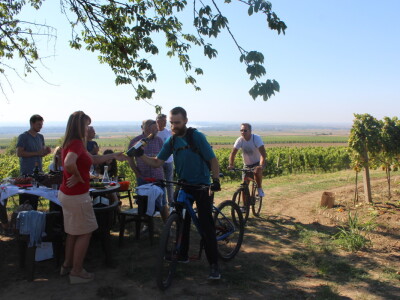 Wine & Bike Tour Erdut
