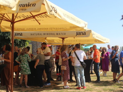 Wine & Bike Tour Erdut