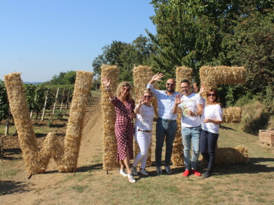 Wine & Bike Tour Erdut