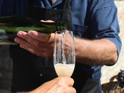 Wine & Bike Tour Erdut