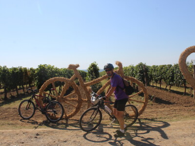 Wine & Bike Tour Erdut
