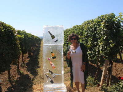 Wine & Bike Tour Erdut