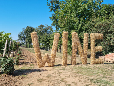 Wine & Bike Tour Erdut