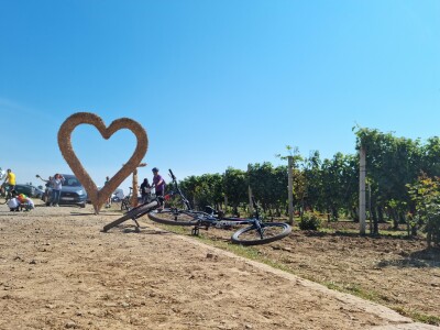 Wine & Bike Tour Erdut