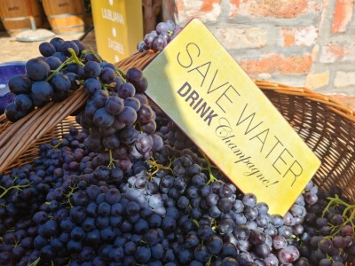 Wine & Bike Tour Erdut